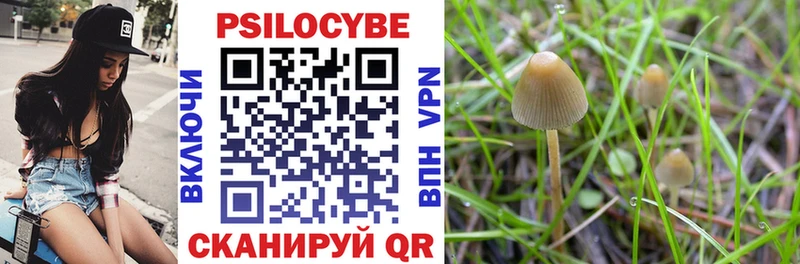 hydra ссылки  где можно купить   Волосово  Псилоцибиновые грибы Psilocybine cubensis 